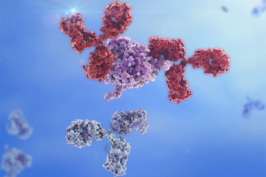 Budget-Friendly with Reliable Results: Recommendation of KPL High-Cost-Performance Secondary Antibodies Budget-Friendly with Reliable Results: Recommendation of KPL High-Cost-Performance Secondary Antibodies